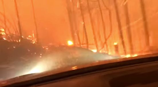 Boston family attempt to escape vicious forest fire (VIDEO)
