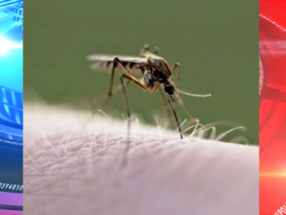 Los Angeles County health officials confirmed first death from West Nile virus
