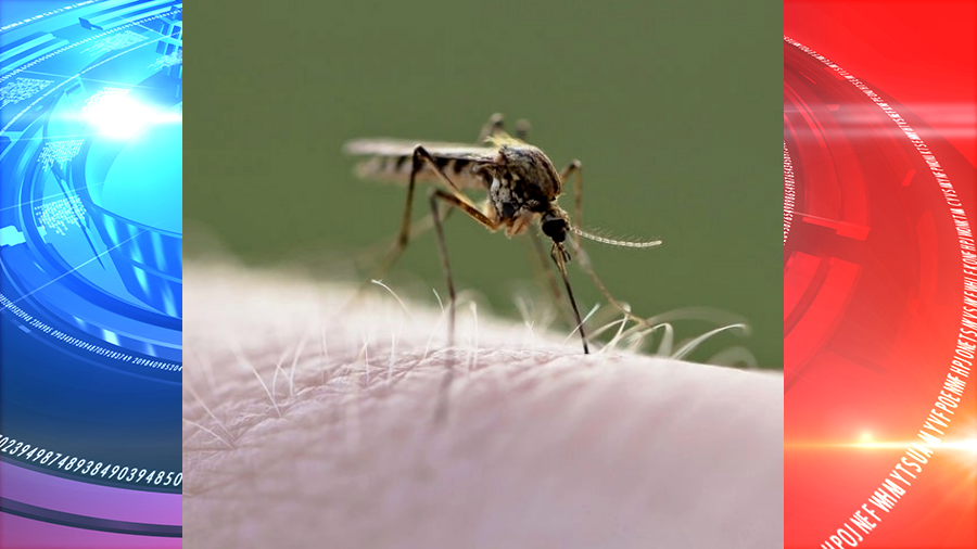 Los Angeles County health officials confirmed first death from West Nile virus