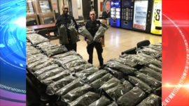 Law enforcement busted a 100 lbs shipment of marijuana, owner says it's legal cannabis