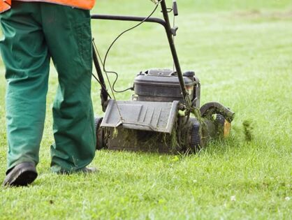 How to Mow a Lawn Professionally for Beginners